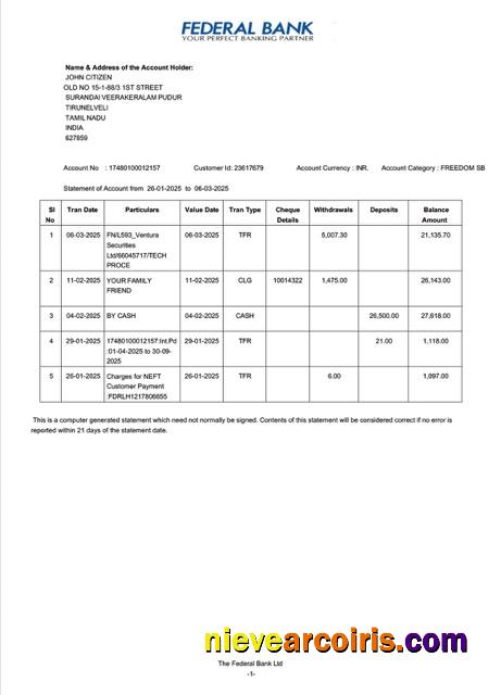 India Federal Bank statement of account Word and PDF, version 2